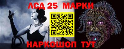 гашик Жуковский