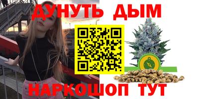 гашик Жуковский
