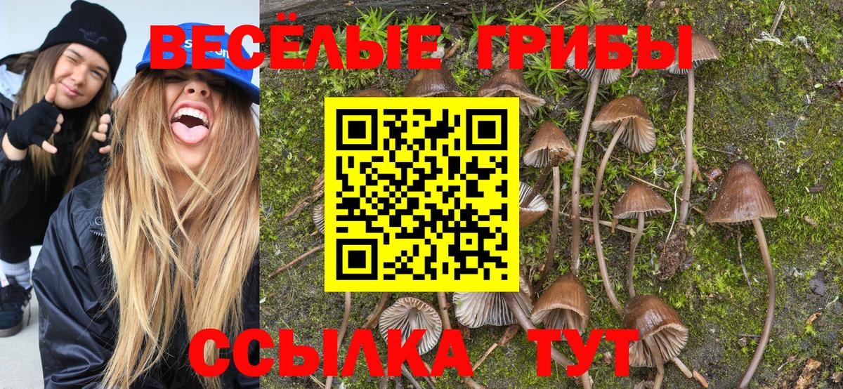 Псилоцибиновые грибы прущие грибы  Псилоцибиновые грибы Psilocybe  Ишимбай  Вход с VPN 