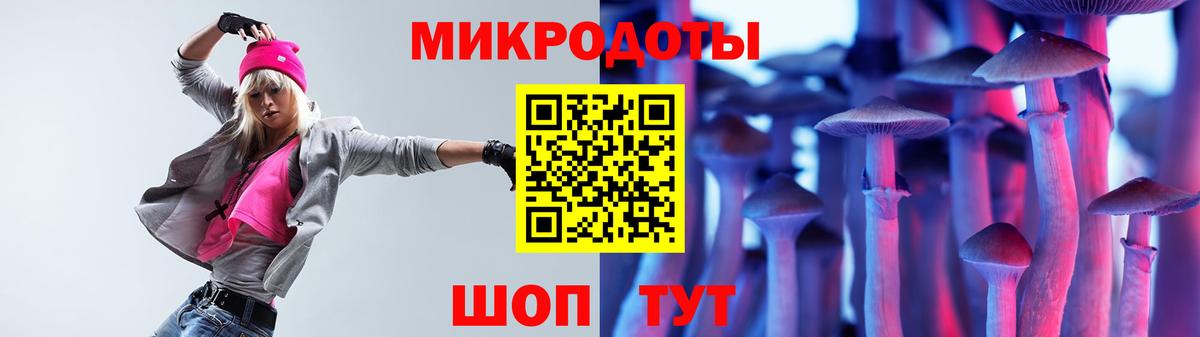 Псилоцибиновые грибы Psilocybe Ишимбай